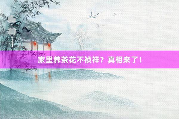 家里养茶花不祯祥？真相来了！