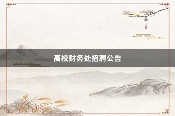 高校财务处招聘公告